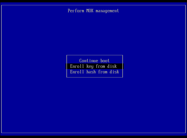 MOK Manager screen 3